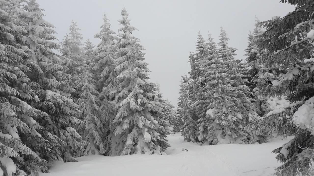 LUX Apartman B1 Milmari Kopaonik Dış mekan fotoğraf