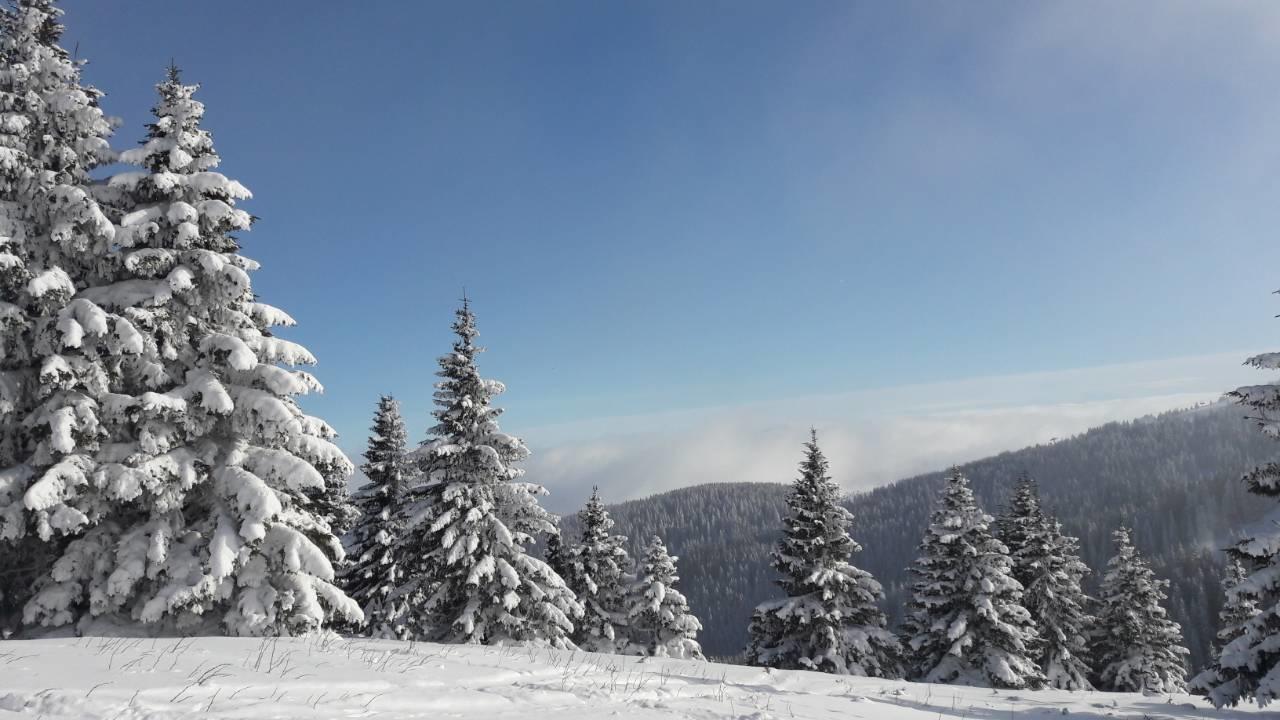 LUX Apartman B1 Milmari Kopaonik Dış mekan fotoğraf
